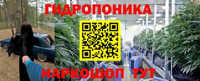 2c-b Бийск