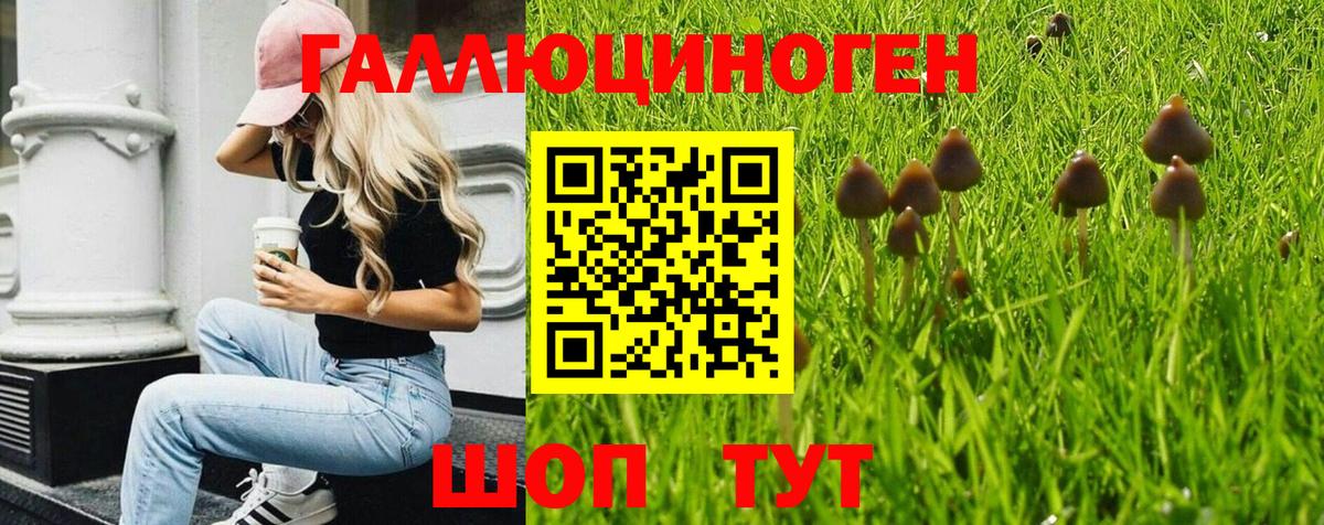 Псилоцибиновые грибы Cubensis Каменск-Уральский